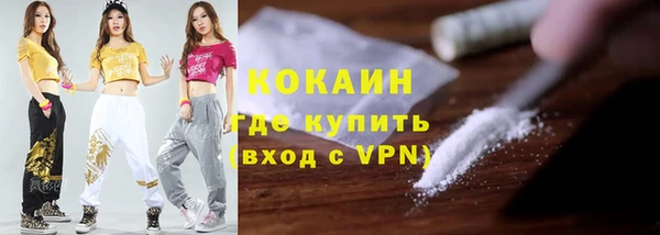 ГАЛЛЮЦИНОГЕННЫЕ ГРИБЫ Вязники